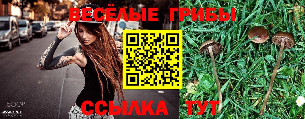 Галлюциногенные грибы мицелий Осинники